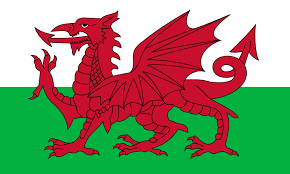 Introducing Welsh super middleweight Taylor Bevan